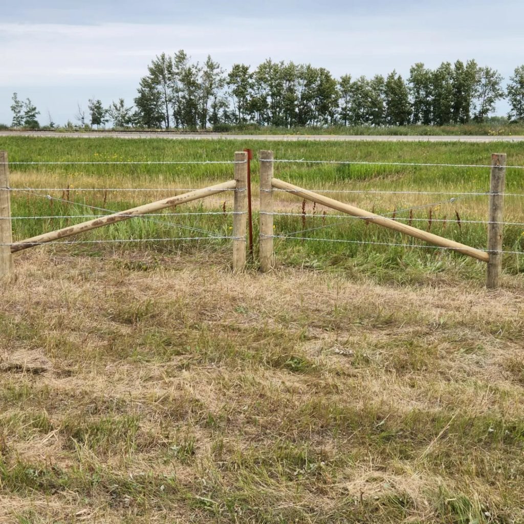 barbed wire fence farm