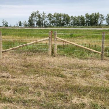 barbed wire fence farm