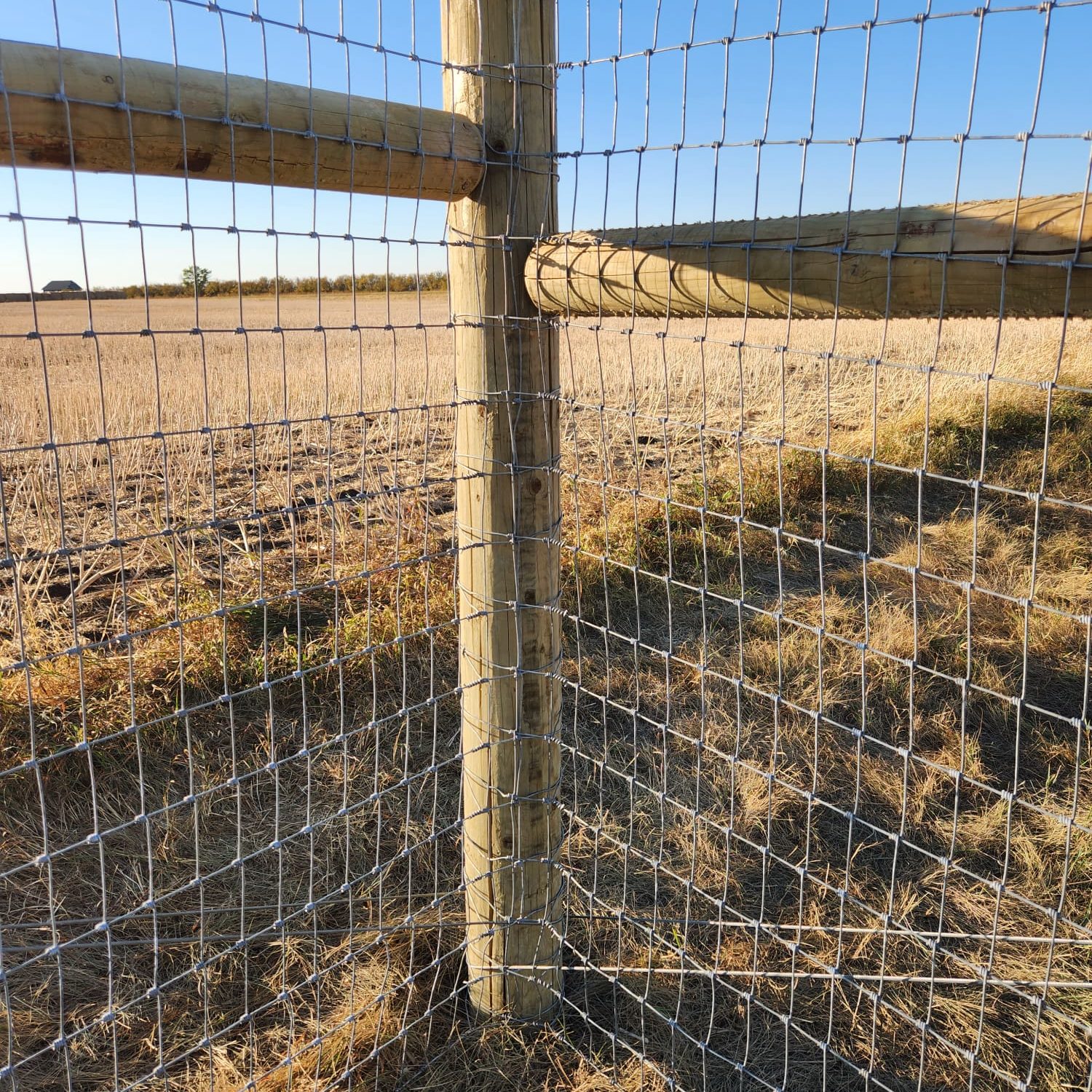 Custom fence design