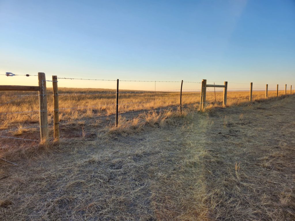 barbed wire fence