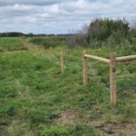 barbed wire farm fence