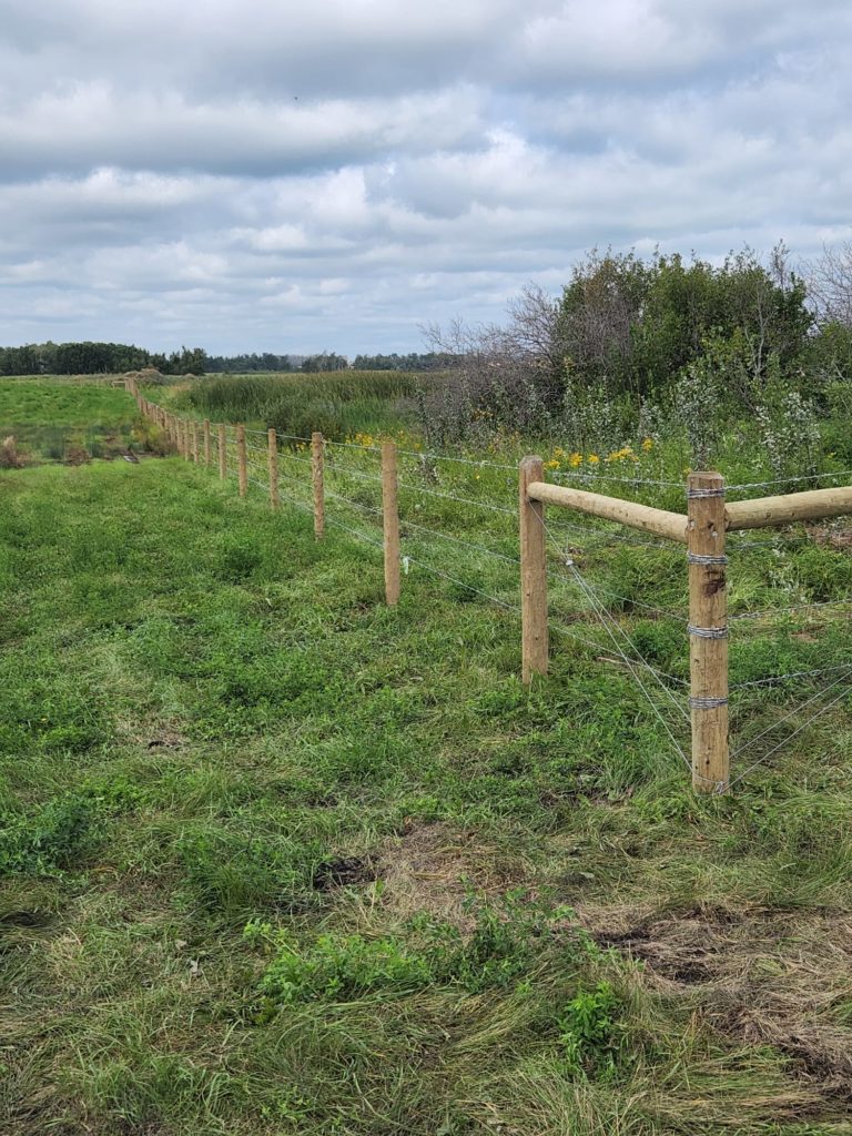barbed wire farm fence