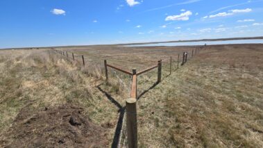 barbed wire fence