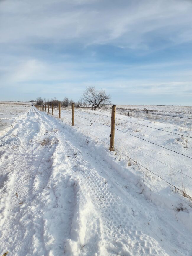 Farm fence in the winter in Alberta